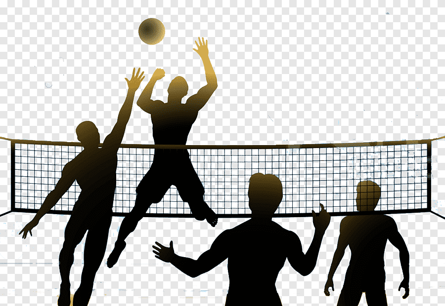 Voleybol